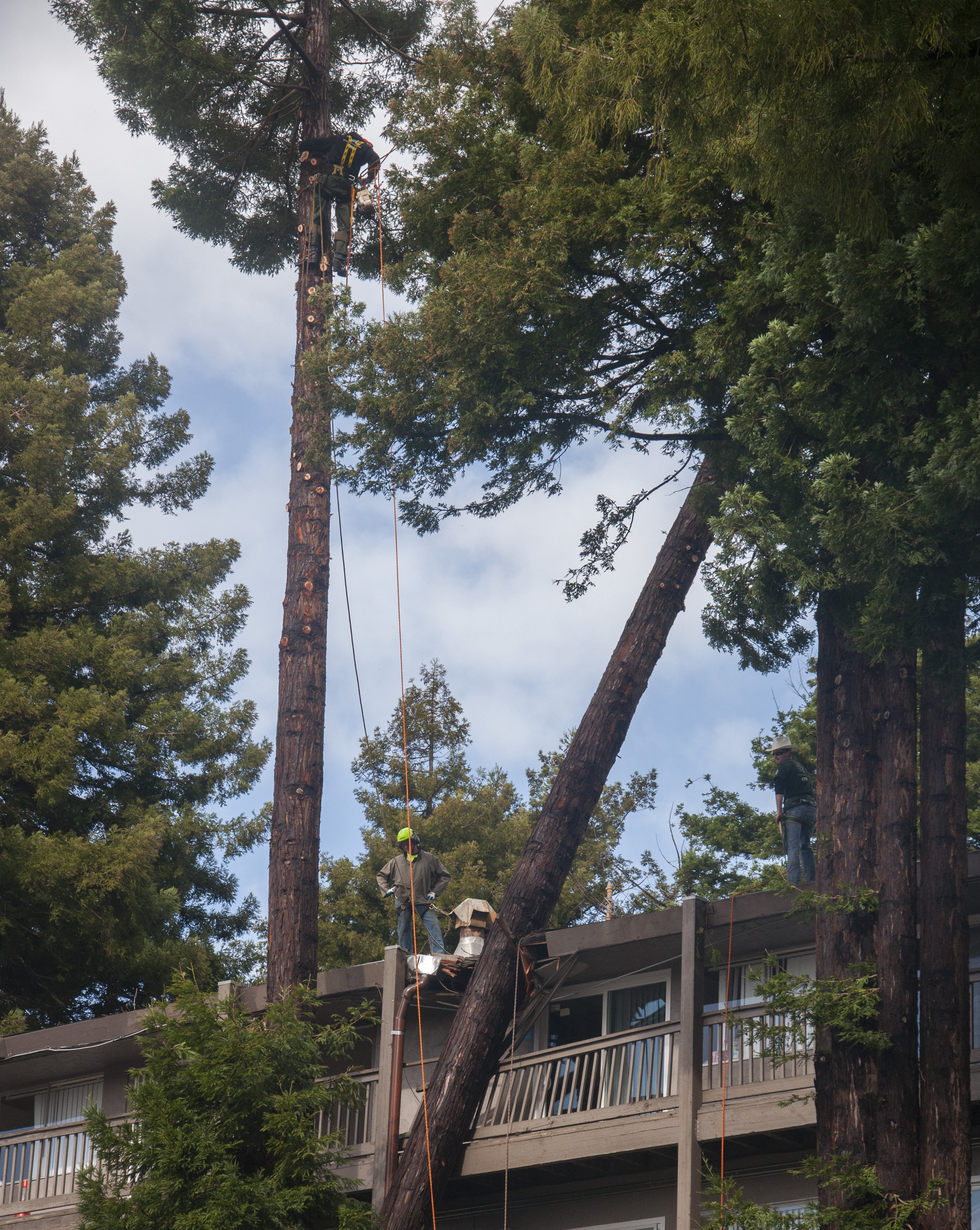 06.BRADBURY.SINGLES._DSC0456