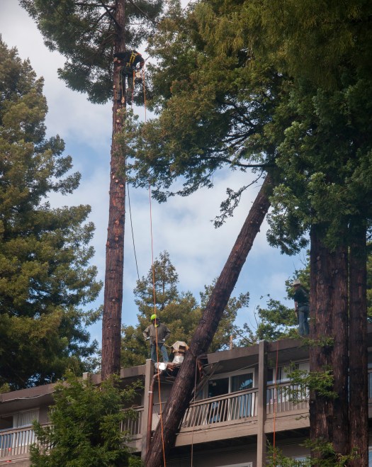 06.BRADBURY.SINGLES._DSC0456