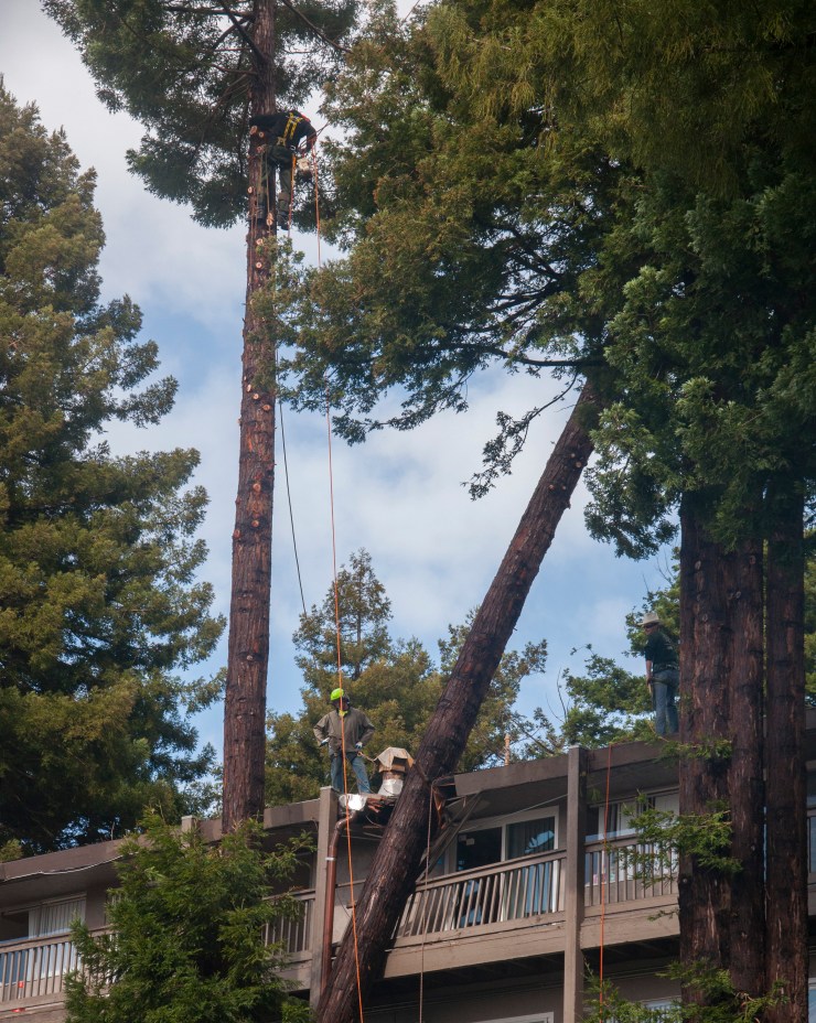 06.BRADBURY.SINGLES._DSC0456