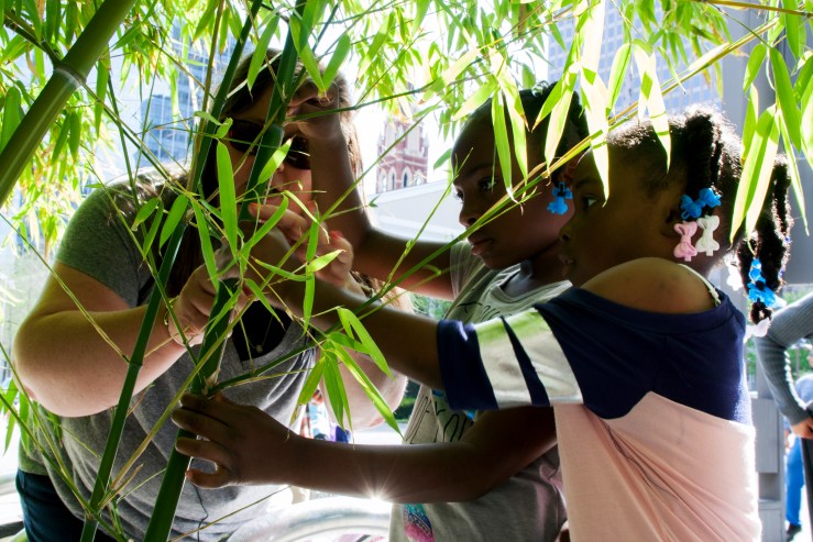 170401._MG_2348.Bradbury.walkSTEM